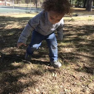 My toddler looking for acorns