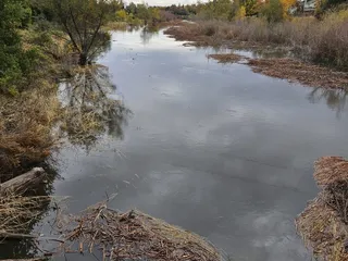 Laguna Creek Wildlife Park