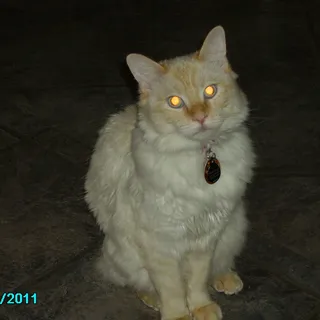 Juli M.