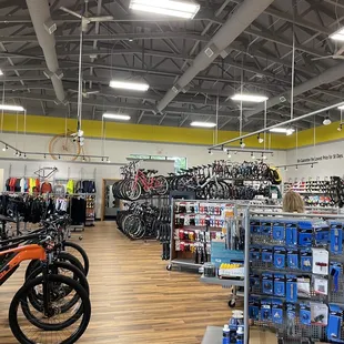 Freewheel Bike - Woodbury