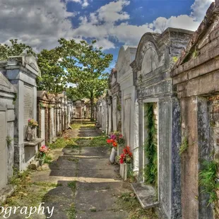 Lafayette Cemetery #1