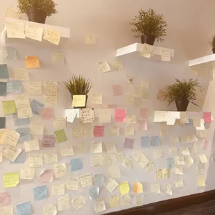 a wall covered with sticky notes and potted plants