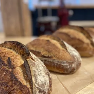 a row of freshly baked breads