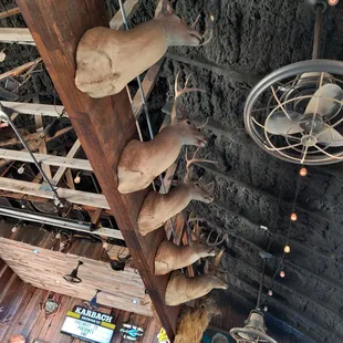 deer heads and fan