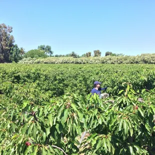 View from atop the ladder!