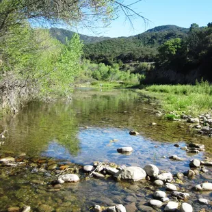 On a hike across the road from Fremont