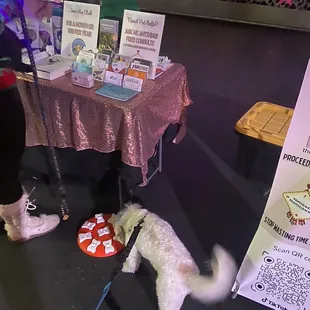 a dog with a leash and a frisbee