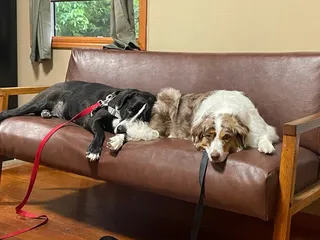 Waubonsie State Park