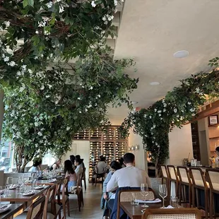 beautiful ambiance