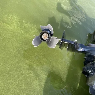 Even the propeller was is poor condition. If it wasn't the last boat and we'd already made reservations, we would have refused it.