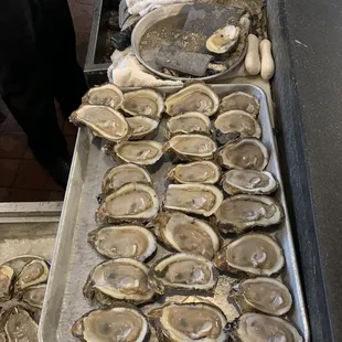 Fresh oysters super good