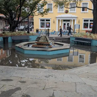 Heavy rains last night, so this sunken section of seating in Latrobe Park had lots of standing water. Pretty cool though