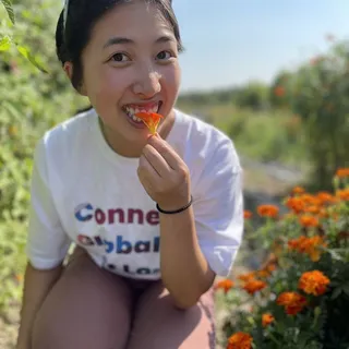 Cathy N.
