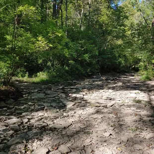Dryer areas of the creek bed