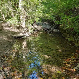 Larger area of water in the creek bed