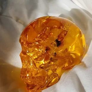 Amber skull