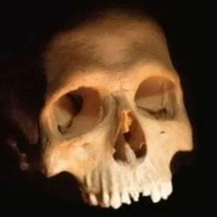 Ghost and Vampire Tours: 6:00pm and 8:00pm nightly, from Flanagan&apos;s Pub.