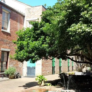 Magnolia and sitting areas in the courtyard.
