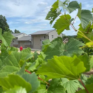French Ridge Winery