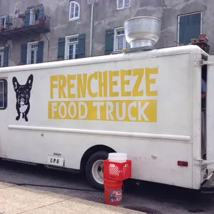 a dog on the side of the truck