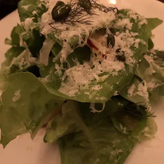 Sucrine Lettuce