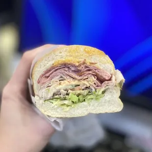 a person holding a sandwich