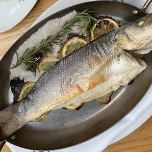 Salt Encrusted Branzino