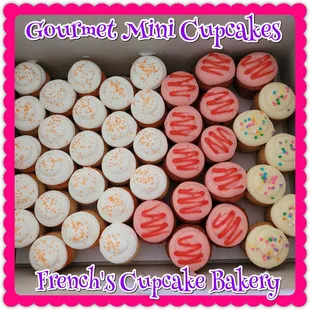 Gourmet Mini Cupcakes