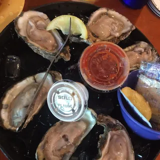 Fresh Oysters