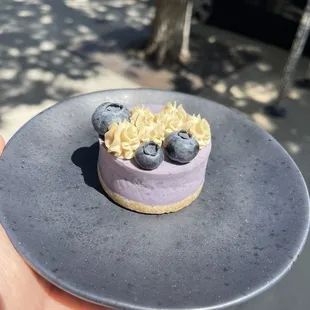 Blueberry Cake