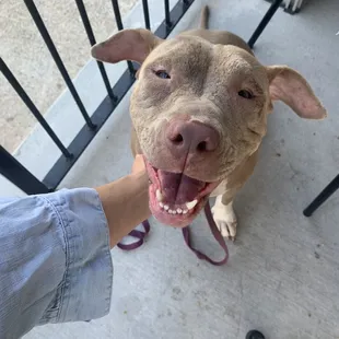 Priscilla was a happy camper at the outdoor seating!