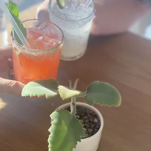 Strawberry basil margarita and the classic margarita