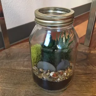 Little terrarium.