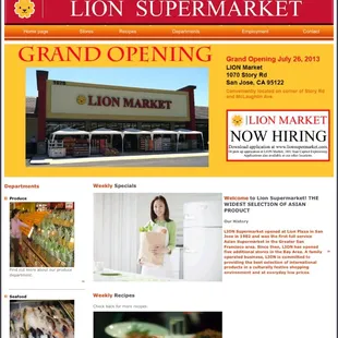 the homepage of the lion market