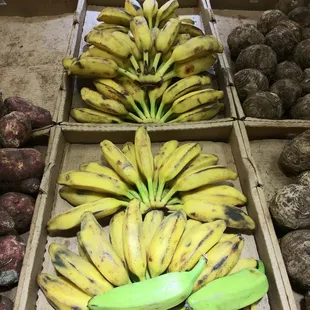Bull plantains center and malanga I believe on right. Several banana and plantain types to choose from and lots of tubers.