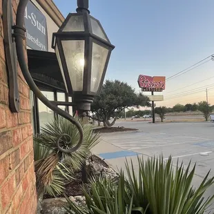 a street light and a plant