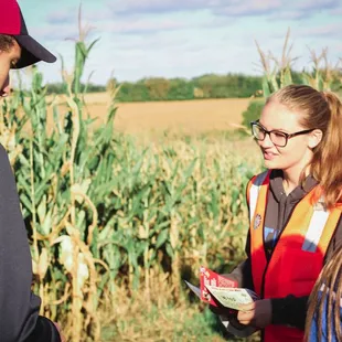 Entering the Corn Maze