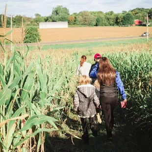 Walking through the maze!