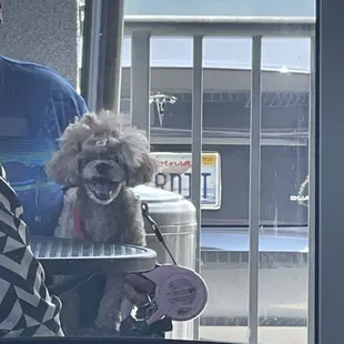 Even this little guy is happy to be here