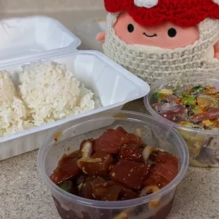 Mushroom rickys diet lately