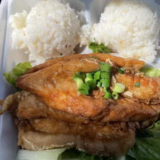 Teri Salmon Belly