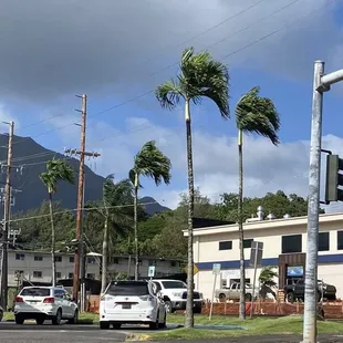 New Future Kaneohe location . Maybe less parking from the current Kaneohe location but heard they will have dine in.