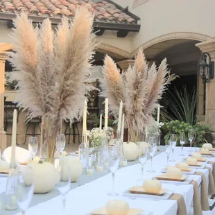 Terrific pampas grass. If your challenged at styling arrangements this is your answer.