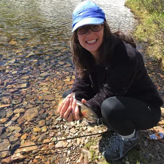 Alison S.