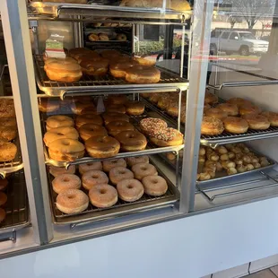 Display case of donuts and bagels offered by business.