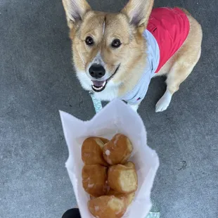 Finally got my donut holes