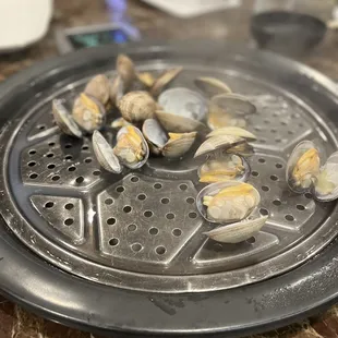Clam