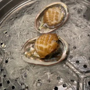 oysters, food, oysters and mussels, mussels, shellfish
