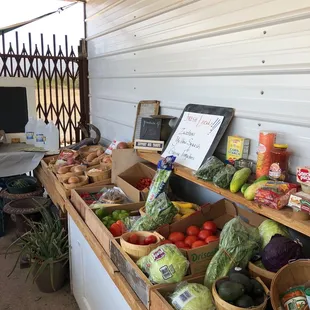 a variety of fruits and vegetables