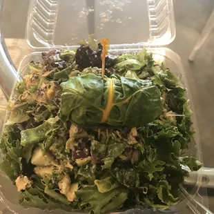 So much delicious vegan food at Fresh from the Farm Juices!